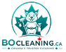 Bo Cleaning Logo Design