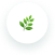 Eco-Friendly Products Icon